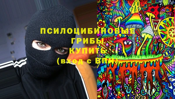 apvp Армянск