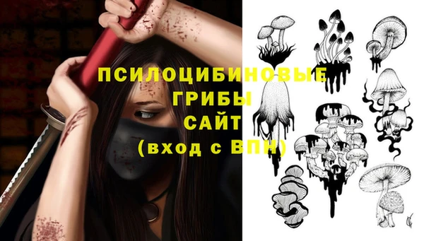 мескалин Арсеньев