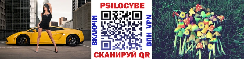 hydra tor  Артёмовск  Галлюциногенные грибы Magic Shrooms  где купить  